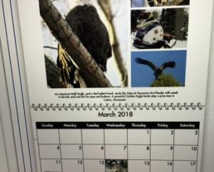 Sample of Custom Calendar