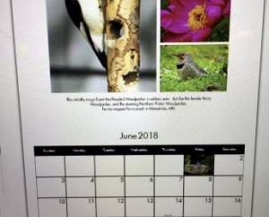 Sample of our Bird Calendar