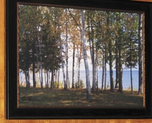 Framed Canvas  Madeline Island Birch Trees $750  SOLD