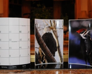 Clipped images from our calendars