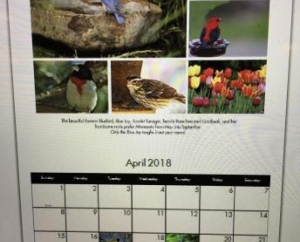 Sample of Custom Calendar