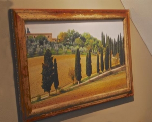 The Trees of Tuscany, Italy                  $195.